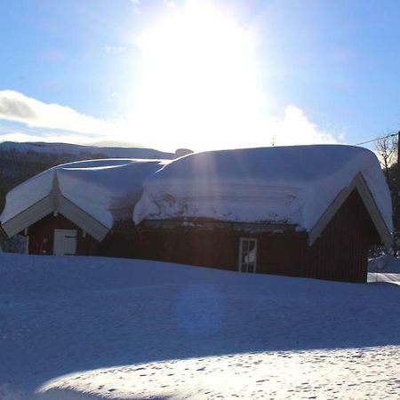Gamlestugu Hytte Ål Esterno foto