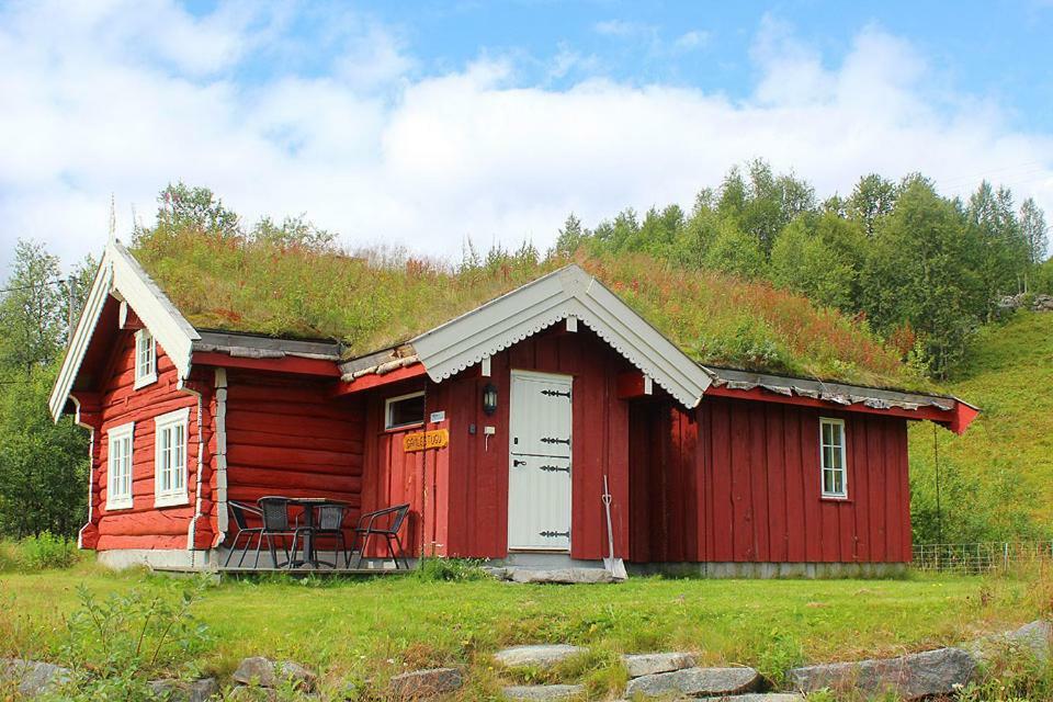 Gamlestugu Hytte Ål Esterno foto